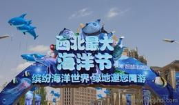 教学演示展示用品全解析 从采购到批发的完整指南